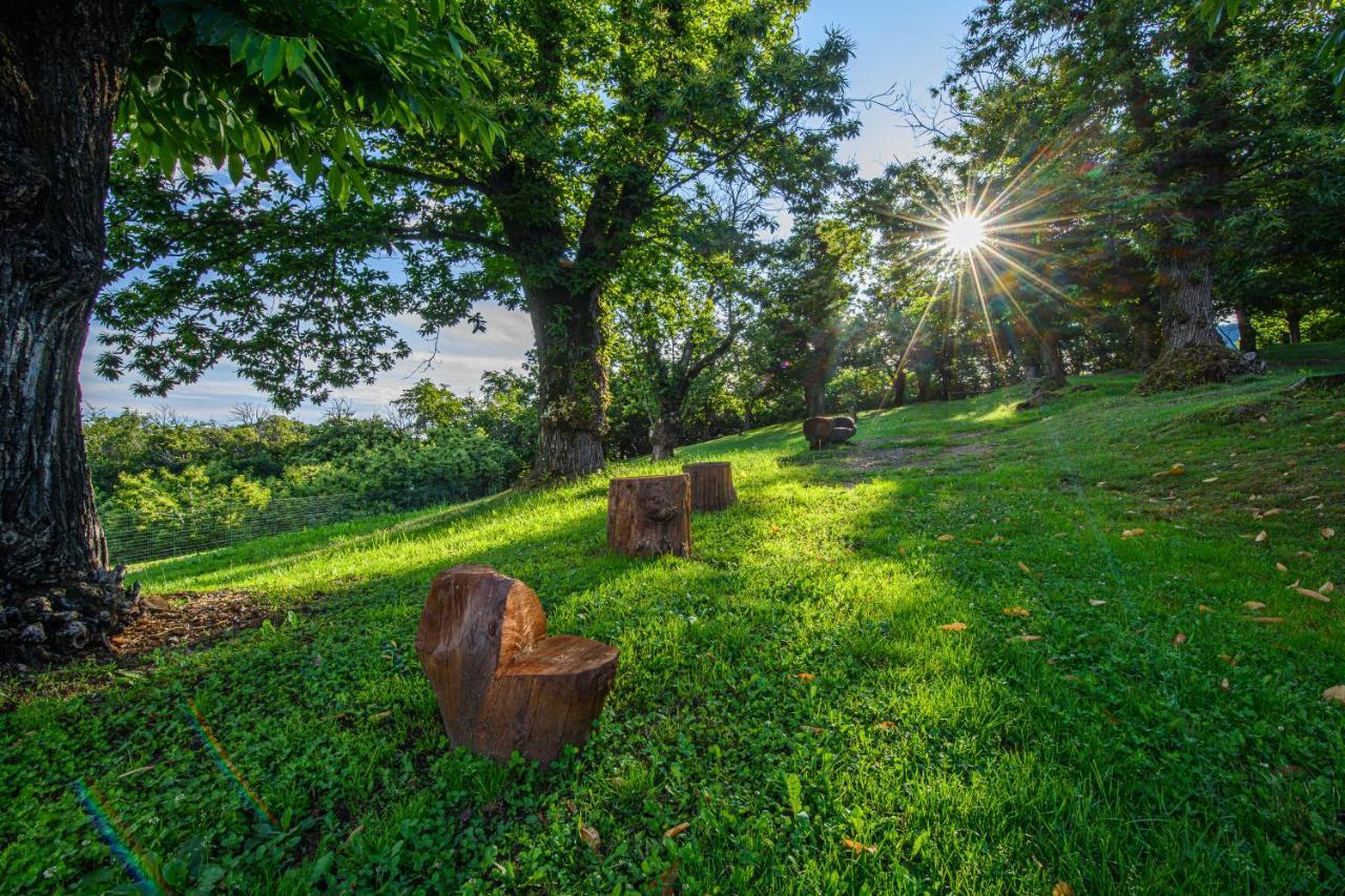 Agriturismo L'Ciabot Paesana Buitenkant foto